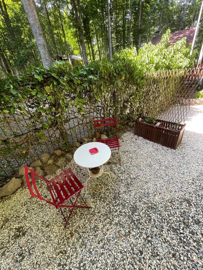 Appartamento Chalet I Folletti Abbadia San Salvator Esterno foto