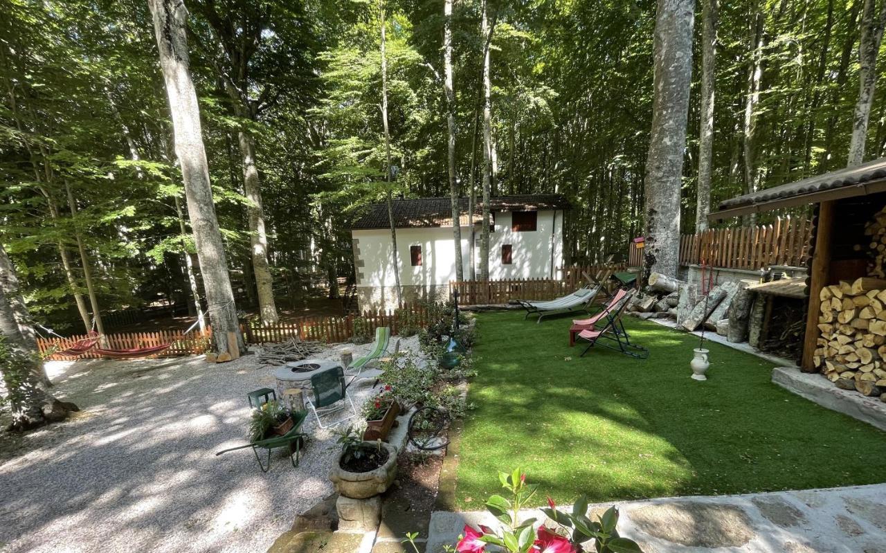 Appartamento Chalet I Folletti Abbadia San Salvator Esterno foto