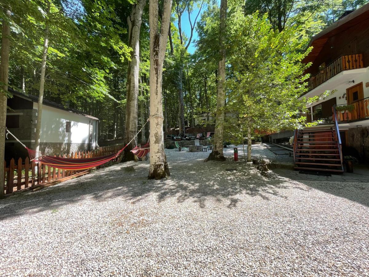 Appartamento Chalet I Folletti Abbadia San Salvator Esterno foto